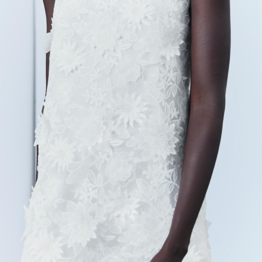 Zara embroidered mini dress - Picture 9 of 16